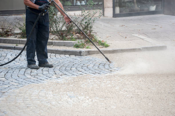 Best Restaurant Pressure Washing  in Dixmoor, IL