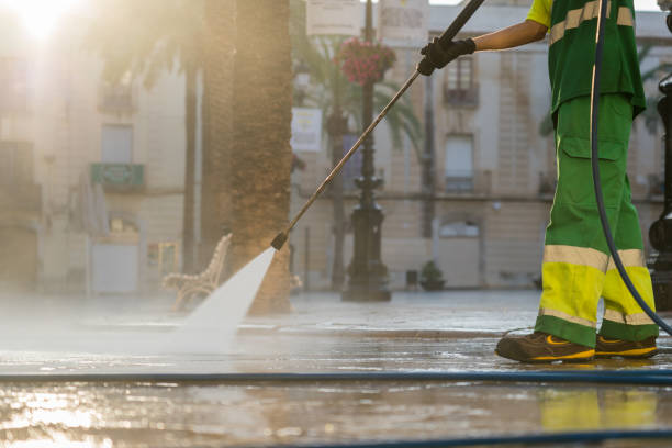 Best Solar Panel Cleaning  in Dixmoor, IL